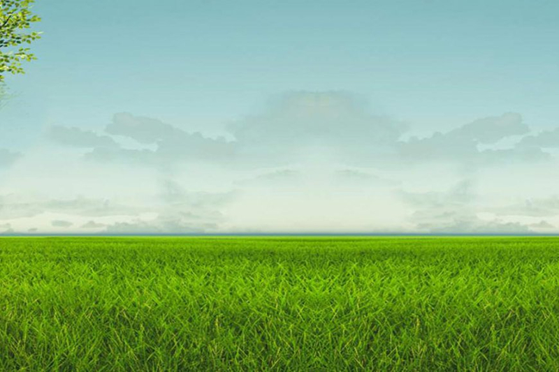 Innovative Water Conservation Methods to Save Water - The Art of Living