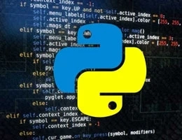 Why Python?