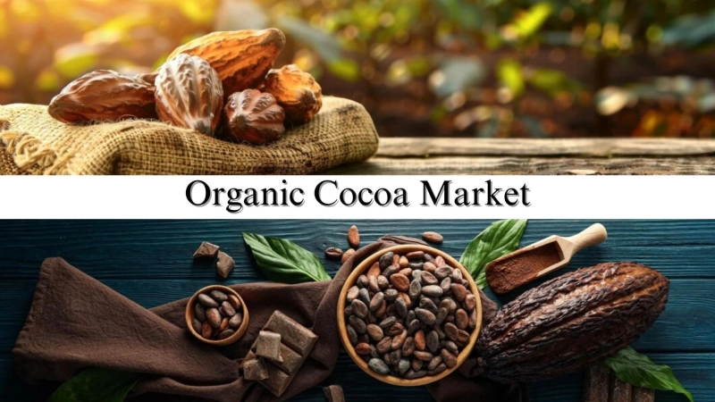 Organic Cocoa Market Size, Share, Report Analysis by 2032