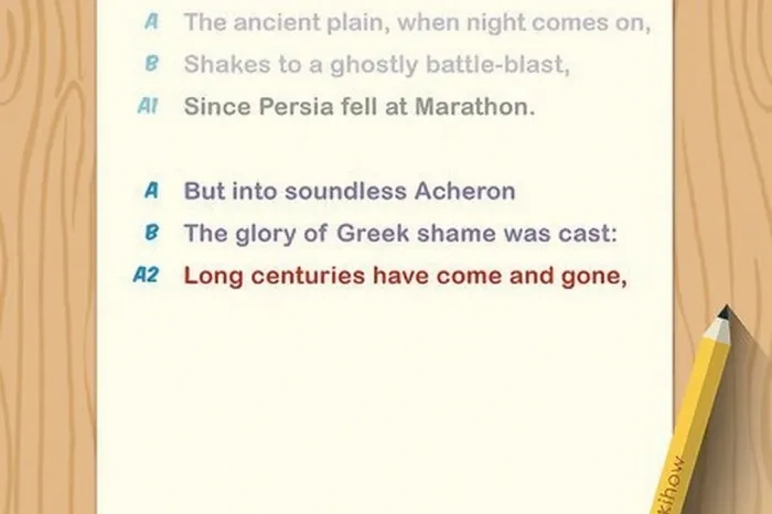 Understanding the Villanelle: Structure and Student Examples