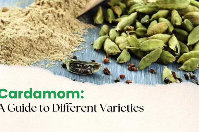Flavors of Cardamom Powder: A Guide to Different Varieties