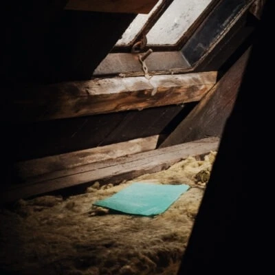 Bekæmpelse af husmår uden gift: Sikker og dyrevenlig løsning