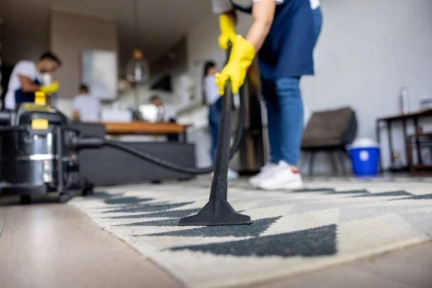 Unveiling the Pinnacle of Cleanliness: Residential Cleaning Ottawa with Sweet and Neat Cleaning
