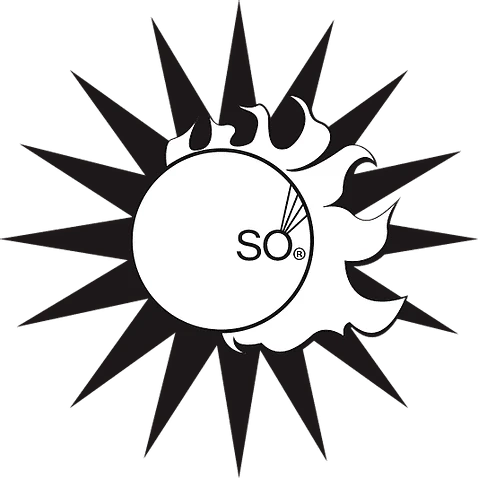 Best Place to Buy Solar Panels - Powerleaf Panels - SO Collective