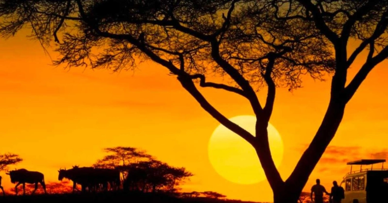 Embark on an Unforgettable Kosher Luxury Safari Adventure in South and East Africa