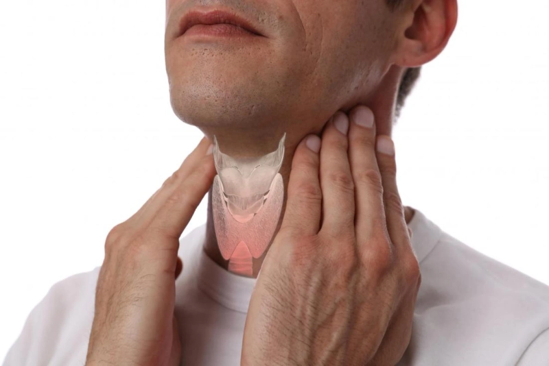 Uses for Bovine Glandular Thyroid Supplement