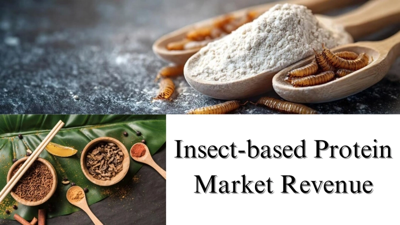 Insect-based Protein Market Revenue, Share, Size, and Growth Forecast to 20