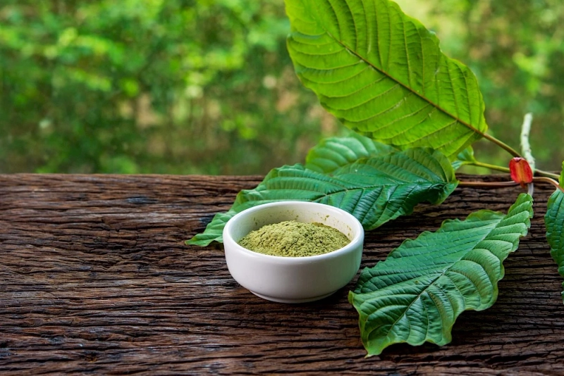 Understanding Kratom Consumption: Implications for Patient Care