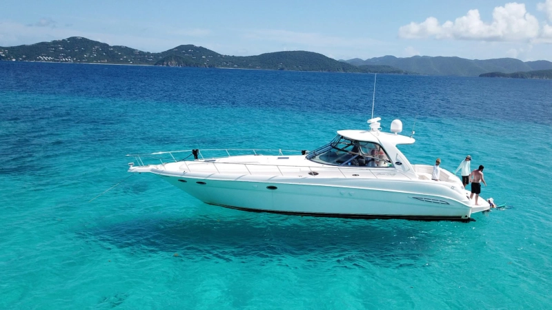 Embark on an Unforgettable Adventure Trip with Sarasota Charters