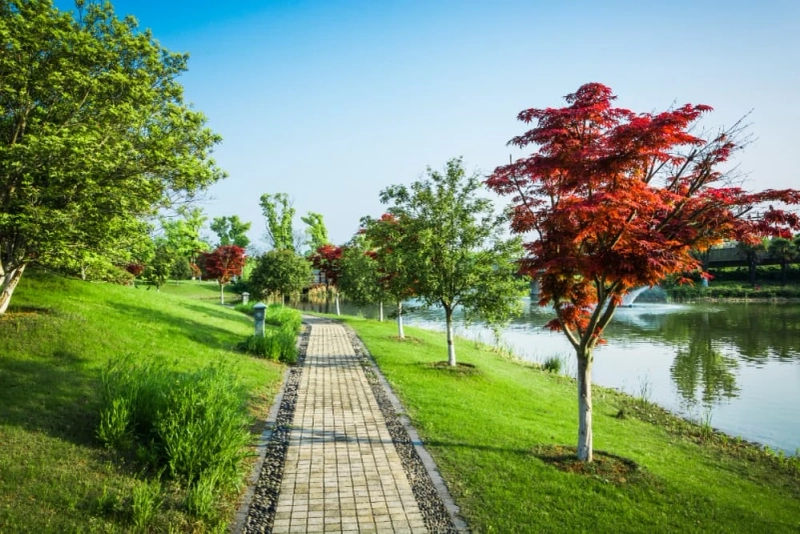 How Nearby Parks Affect Property Prices: The Value of Green Spaces
