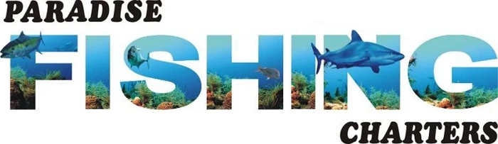Gold Coast Fishing Hotspots: Beaches, Local Spots & Insider Tips