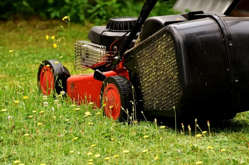 The Importance of Regular Grass Cutting