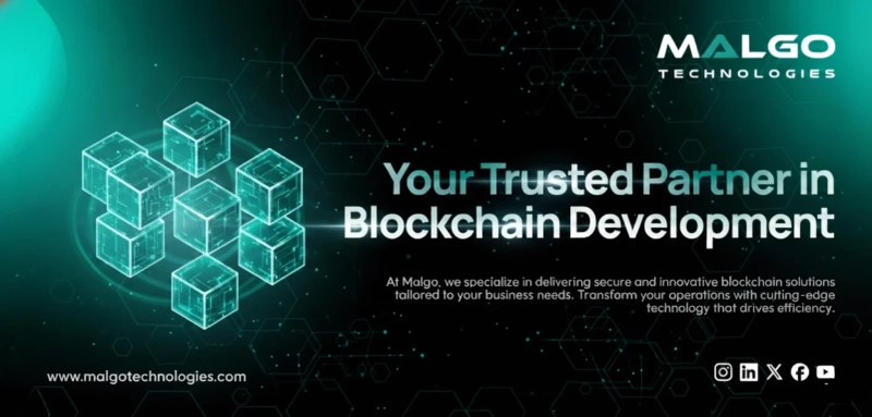 How to Work Effectively With a Blockchain Development Company?