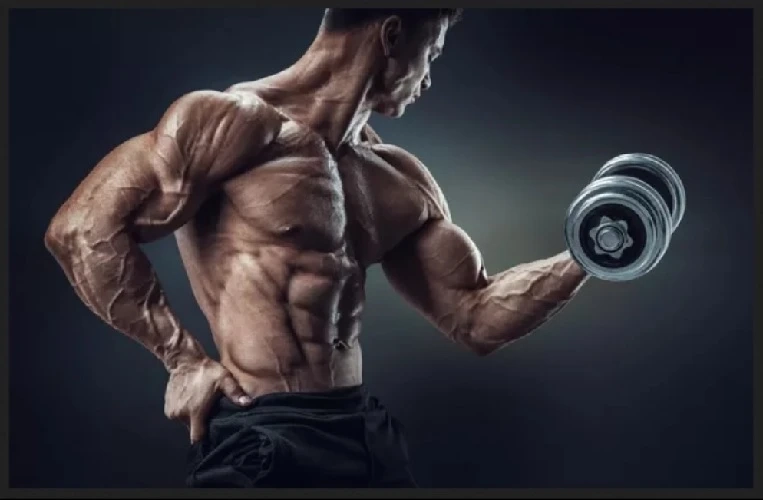 Improve Endurance with Steroids for Sale USA