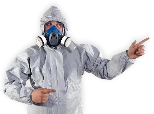 Pest Control Services in Patna: Your Shield Against Unwanted Guests