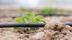 Micro Irrigation Market Size, Share, Value, And Competitive Landscape 2021 | GET FLAT 20% OFF ON