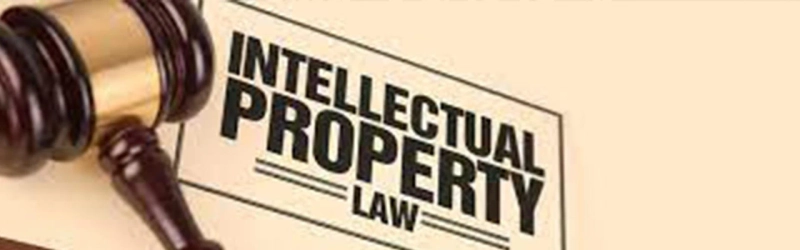 IPR Law Firms: A Complete Guide to Intellectual Property Rights Protection