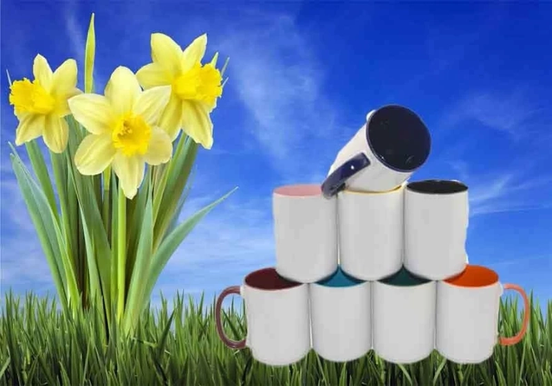Why printed mugs are growing popular among the mass?