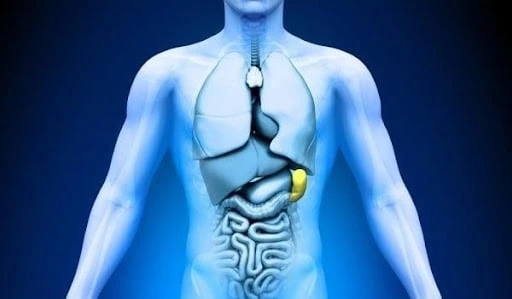 A Complete Guide to Cholestatic Liver Disease