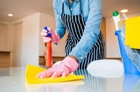 Professional House Cleaners Nanaimo – Keeping Your Home Spotless
