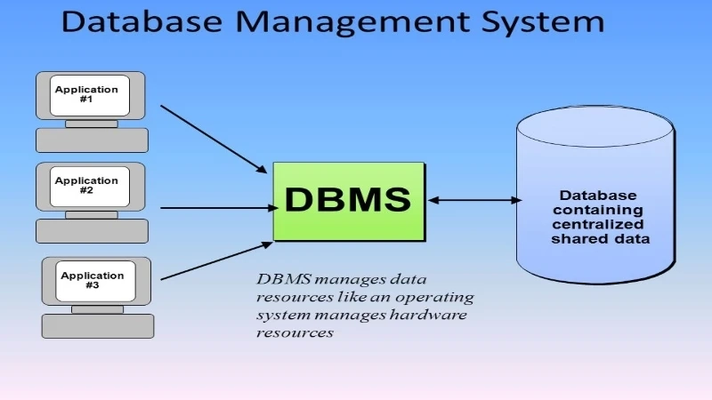 How to draw in an Employee Management Database System for work environment straightforwardness?