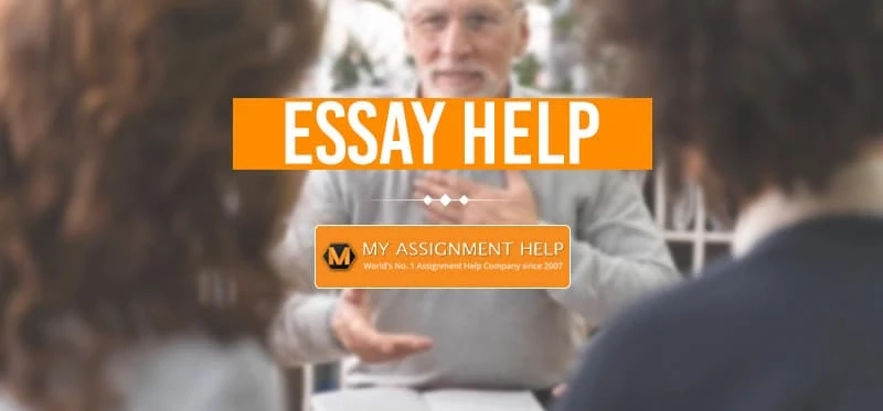 essay editing