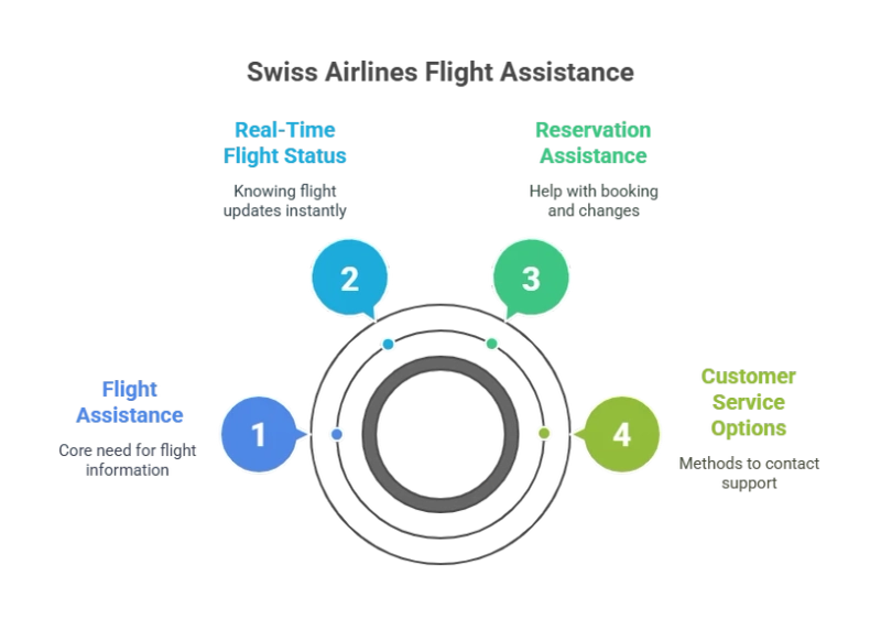 How to Contact Swiss Airlines Customer Service and Check the Status of Your Flight Easily