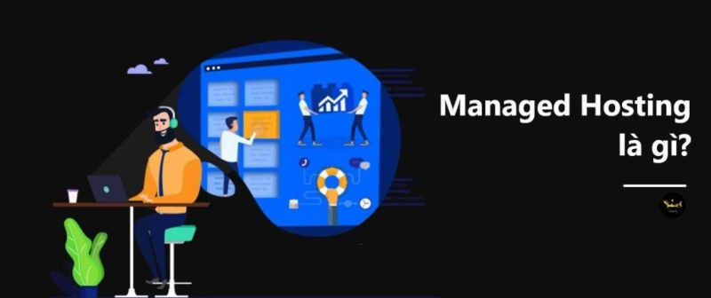 Managed Hosting Là Gì? Managed WordPress Hosting Là Gì?