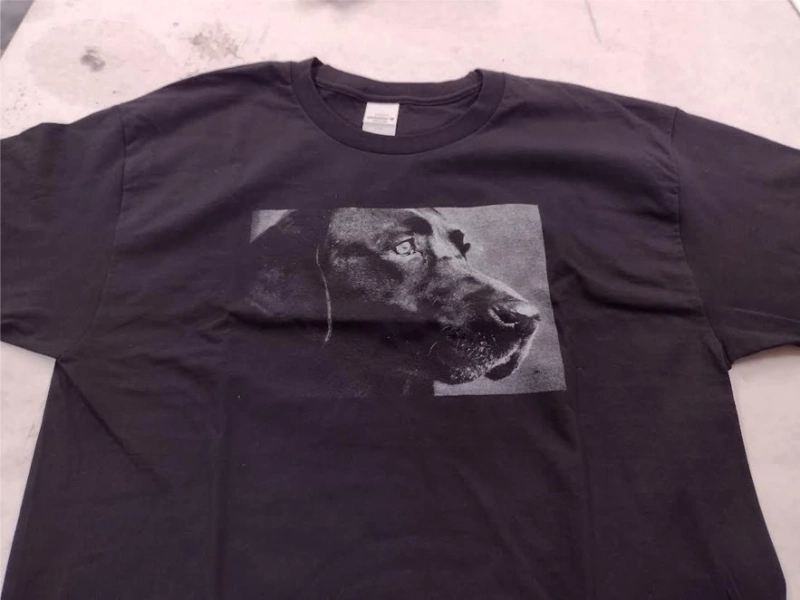 Custom Cut Vinyl vs Printed Graphics: Which Option is Right for You?