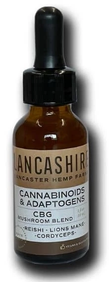 The Best Tincture of Cordyceps Mushrooms | Lancashire Hemp