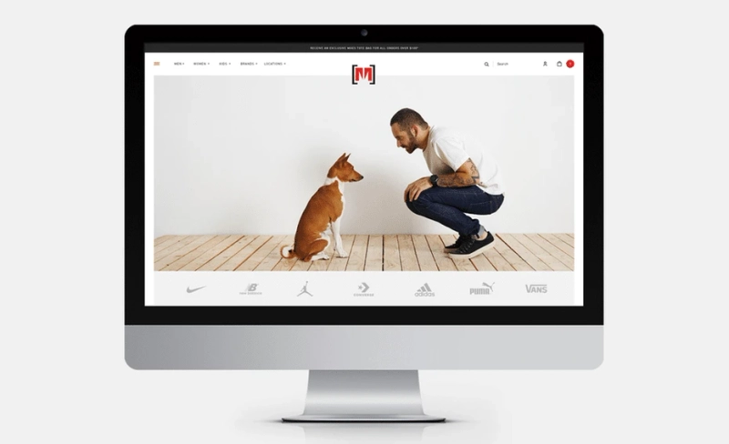 The significance of a Monthly Website Payment