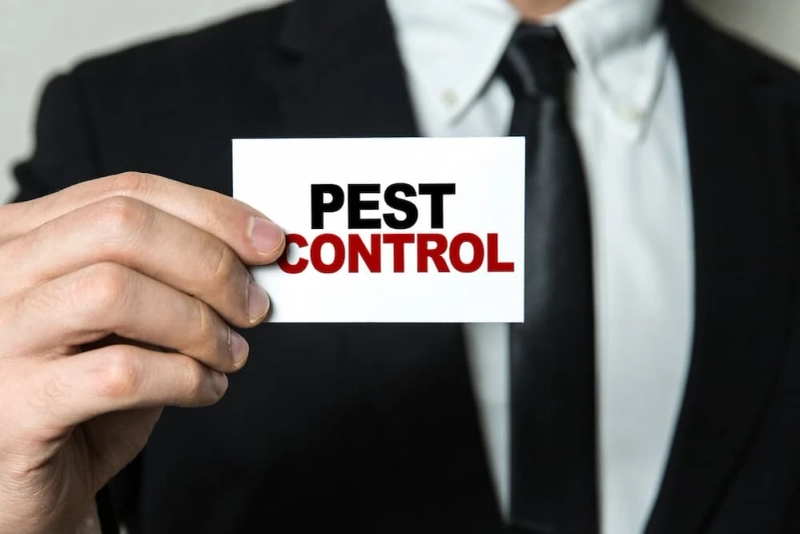 What You Need To Consider Before Hiring A Pest Control Expert in Georgetown TX