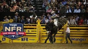 NFR Live Stream: Experience the Thrill in Real-Time