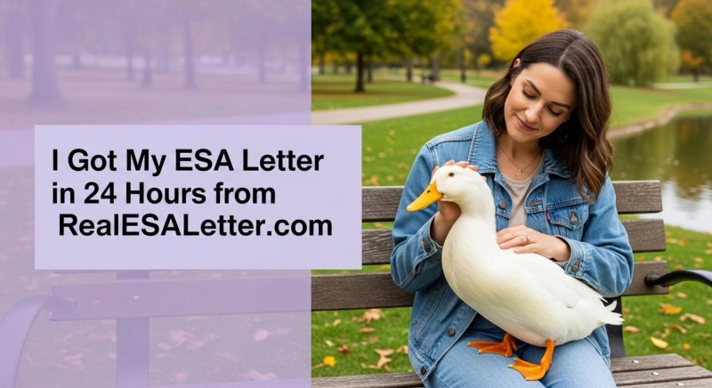 Got an ESA Letter in 24 Hours From RealESALetter.com for My Anxiety Issues