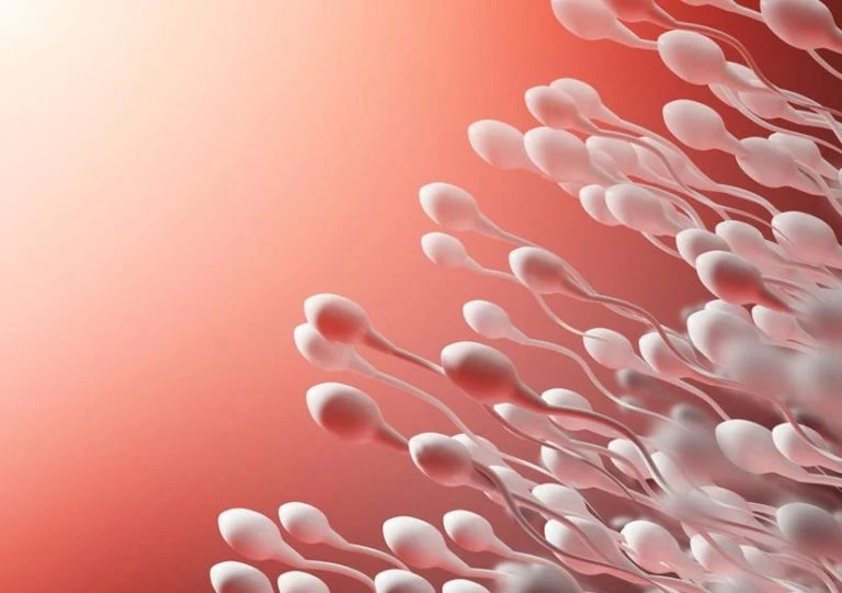 Infertility In Male