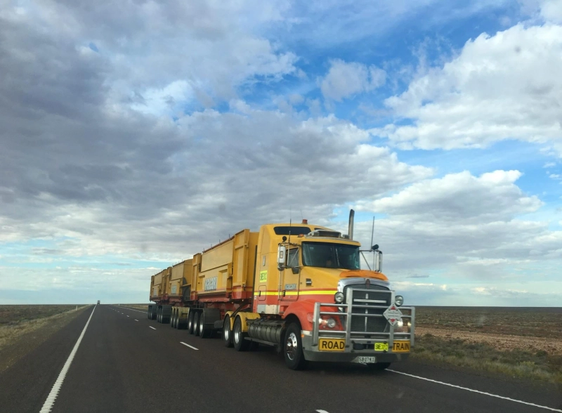 How can logistics companies manage and control risks?