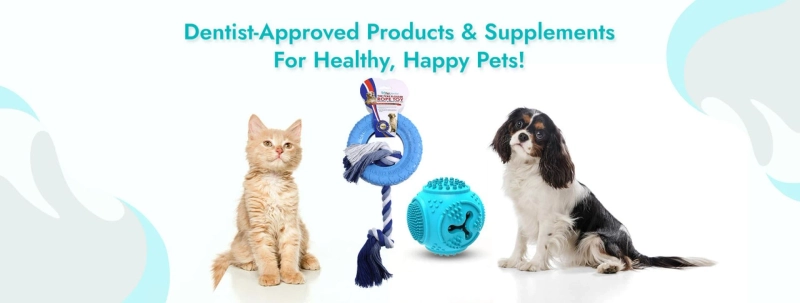 Keeping Your Furry Friend's Teeth Clean: The Importance of Dog Toothbrushes and Dental Cleaning
