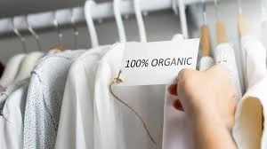 Vegan Women's Fashion Market Share, Size, Industry Overview, Key Players, Latest Insights and Forecast 2023-2028