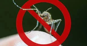 Residential Mosquito Control