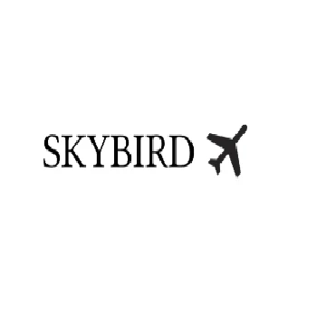 Celebrate Aviation with SkyBirdSupply’s Custom Airport Maps