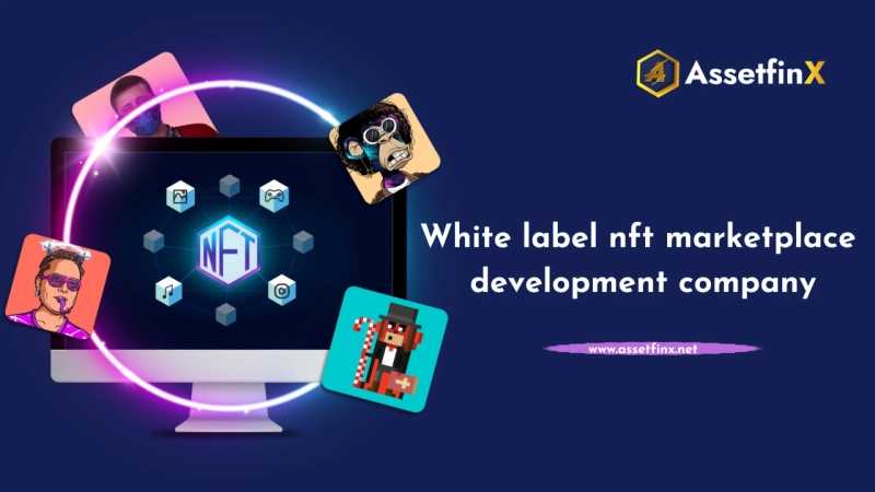Benefits Of Creating an White Label NFT Marketplace!