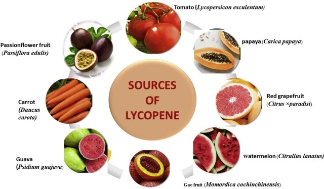 Lycopene - A Well known And Strong Cell reinforcement