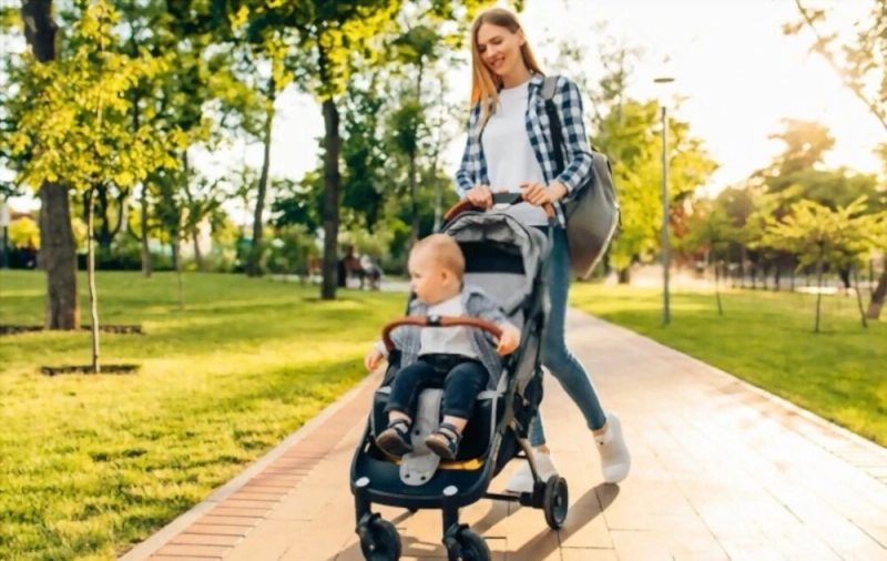 How to Choose Mosquito Netting for a Stroller?