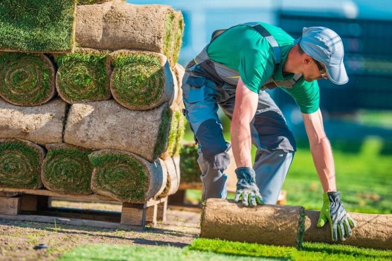 Landscaping Ideas that are too easy to follow!