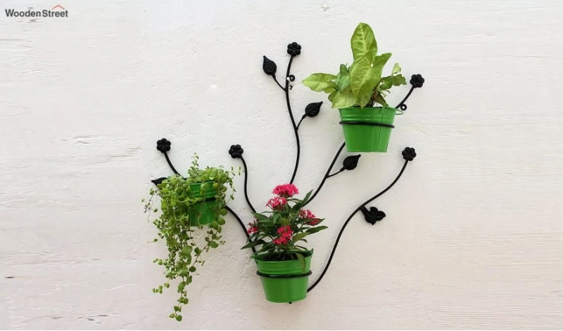 6 Ways in Which Wall Planters Can Improve the Aesthetic of Your Home