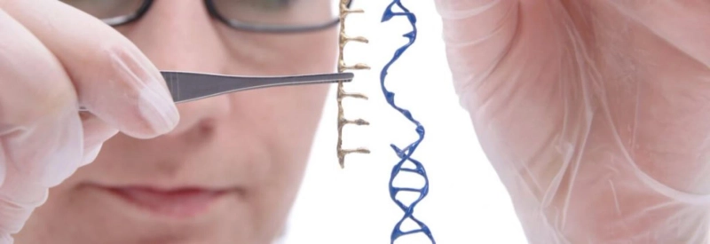 Gene Therapy for Rare Disease Market: Global trends, size, share, growth, opportunity, and forecast 2018-2026