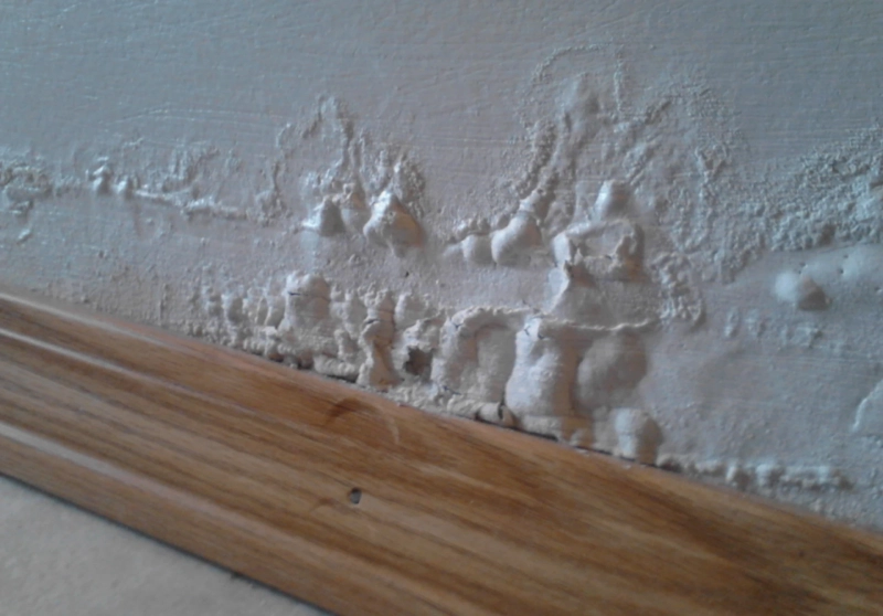 Water Damage Repair Norco CA: Protect Your Home and Restore Peace of Mind