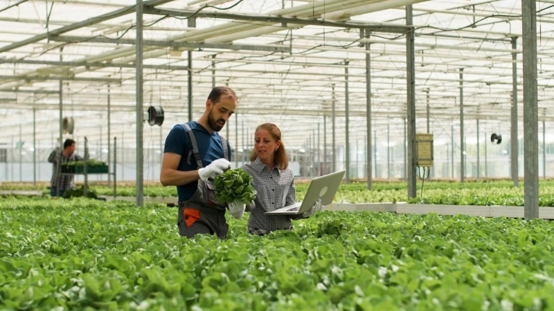 Why Eco-Minded Growers Prefer Plant-Based Solutions