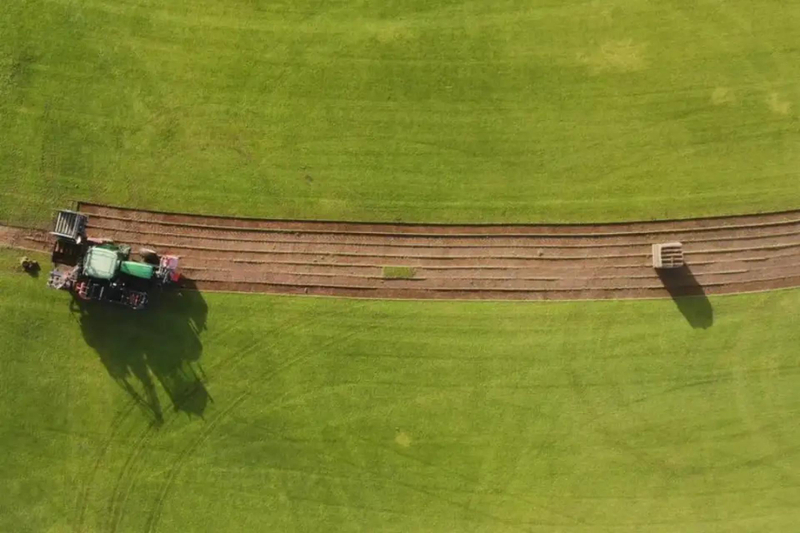 Eco-Friendly Lawn Solutions: How Tall Fescue Saves Water and Thrives