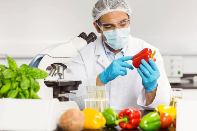 How Medical Nutrition Testing Enhances Health Diagnostics